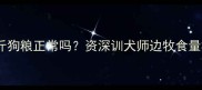 边牧一天吃半斤狗粮正常吗资深训犬师边牧食量标准与喂养秘籍