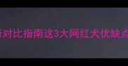 金毛vs拉布拉多vs哈士奇对比指南这3大网红犬优缺点全新手必看饲养攻略