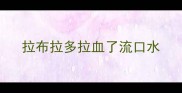 拉布拉多拉血了流口水
