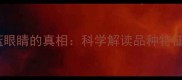 边境牧羊犬蓝眼睛的真相科学解读品种特征与养护指南