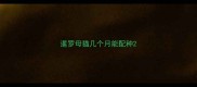 暹罗母猫几个月能配种