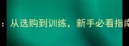 米黄色拉布拉多养护全攻略从选购到训练新手必看指南附北京地区推荐犬舍