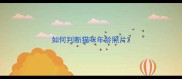 如何判断猫咪年龄照片