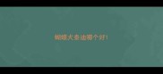 蝴蝶犬泰迪哪个好
