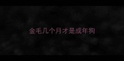 金毛几个月才是成年狗