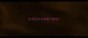 拉布拉多为啥鼻子掉色