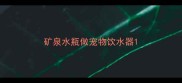 矿泉水瓶做宠物饮水器