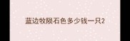 蓝边牧陨石色多少钱一只