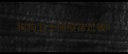 狗狗卫士捌疫苗过敏