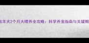 边境牧羊犬2个月大喂养全攻略科学养宠指南与关键期护理