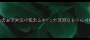 金毛犬粪便发绿拉稀怎么办5大原因及专业应对指南