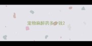 宠物麻醉药多少钱