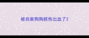 被自家狗狗抓伤出血了