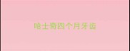 哈士奇四个月牙齿