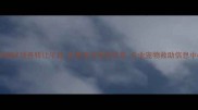 北京猫咪领养转让平台免费发布靠谱交易专业宠物救助信息中心