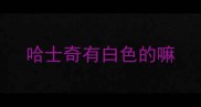哈士奇有白色的嘛