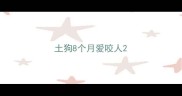 土狗8个月爱咬人