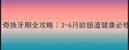 哈士奇换牙期全攻略3-6月龄肠道健康必修课