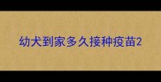 幼犬到家多久接种疫苗
