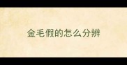金毛假的怎么分辨