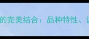 拉布拉多犬与山地运动的完美结合品种特性训练指南与科学养护全