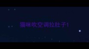 猫咪吹空调拉肚子