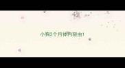 小狗2个月体内驱虫