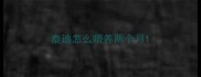 泰迪怎么喂养两个月