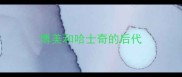 博美和哈士奇的后代