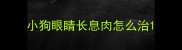 小狗眼睛长息肉怎么治
