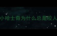 小哈士奇为什么总是咬人