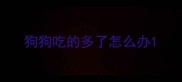 狗狗吃的多了怎么办