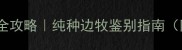 边境牧羊犬血统认证全攻略纯种边牧鉴别指南附血统证书查询教程