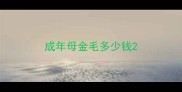 成年母金毛多少钱
