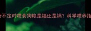 哈士奇不定时喂食狗粮是福还是祸科学喂养指南大