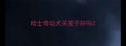 哈士奇幼犬关笼子好吗