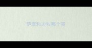 萨摩和边牧哪个贵