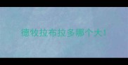 德牧拉布拉多哪个大