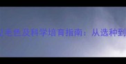 泰迪串种常见毛色及科学培育指南从选种到饲养的完整