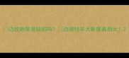 边牧断尾是缺陷吗边境牧羊犬断尾真相大