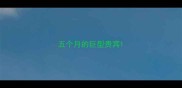 五个月的巨型贵宾