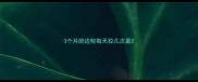 3个月的边牧每天拉几次是