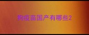 狗疫苗国产有哪些
