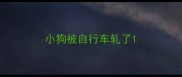 小狗被自行车轧了
