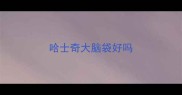 哈士奇大脑袋好吗