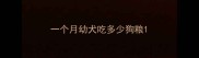 一个月幼犬吃多少狗粮