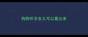 狗狗怀孕多久可以看出来