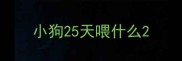 小狗25天喂什么