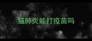 猫肺炎能打疫苗吗