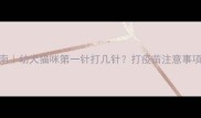 宠物疫苗全流程指南幼犬猫咪第一针打几针打疫苗注意事项大全附时间表